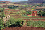 Madagascar Island: Typical Rural Countryside